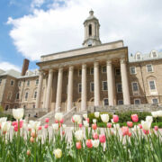Old Main building with white and pink tulips in foreground, blue sky with fluffy white clouds.