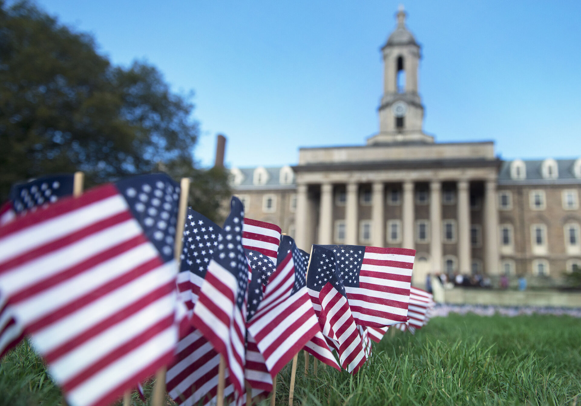 Many small U.S. flags on Old Main lawn.