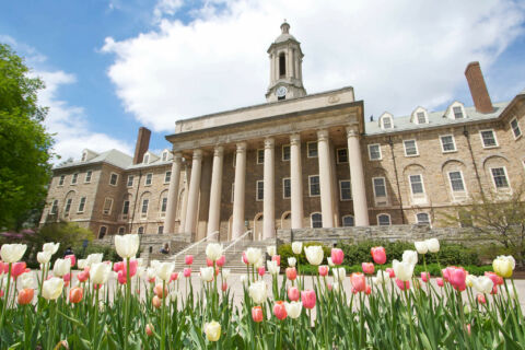 Old Main building with white and pink tulips in foreground, blue sky with fluffy white clouds.